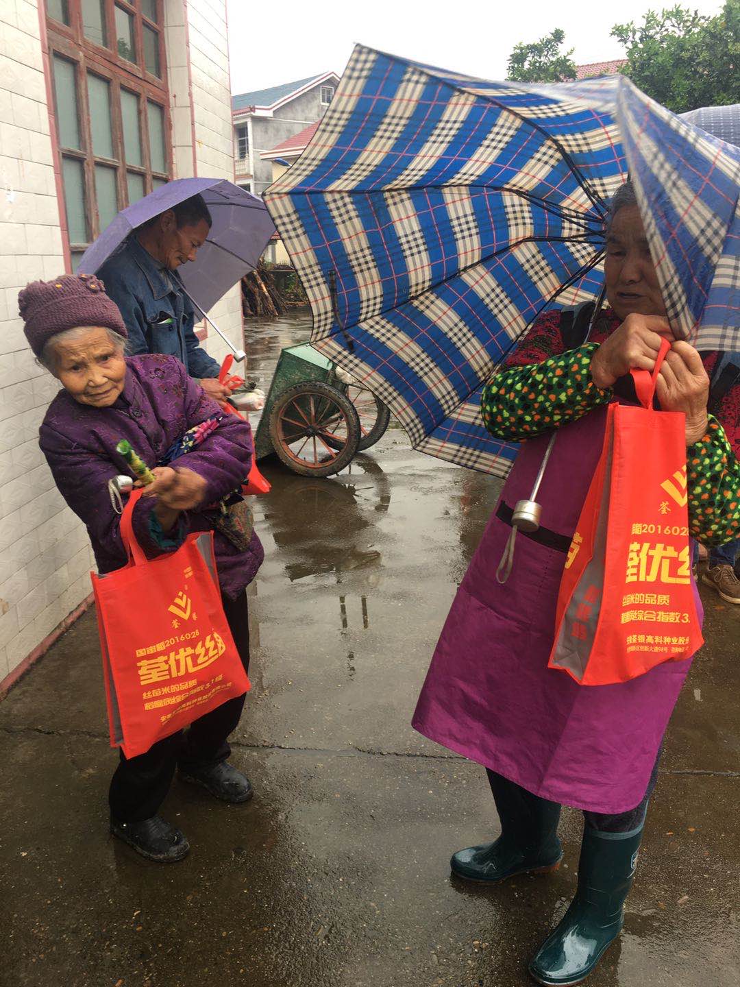 圖片8.jpg 圖片8.jpg