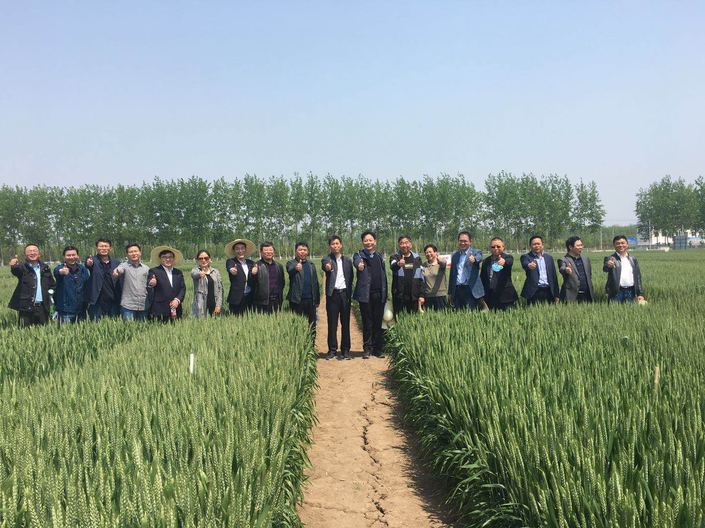 圖片1.jpg 圖片1.jpg