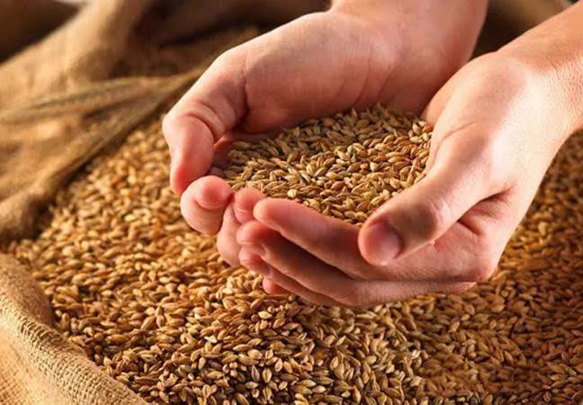 圖片3.jpg 圖片3.jpg