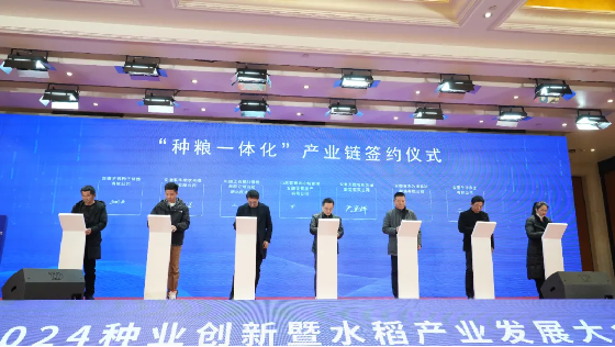 圖片3.png 圖片3.png