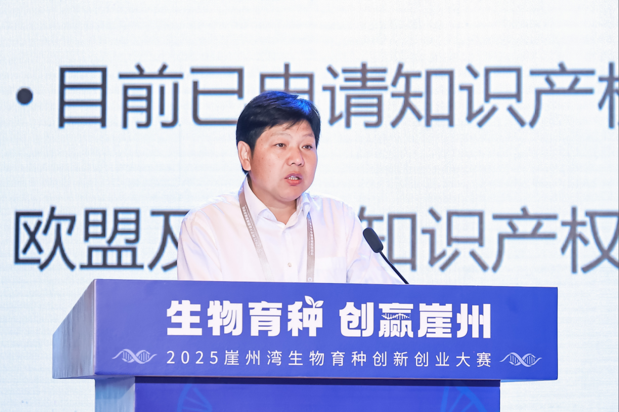 圖片11.png 圖片11.png