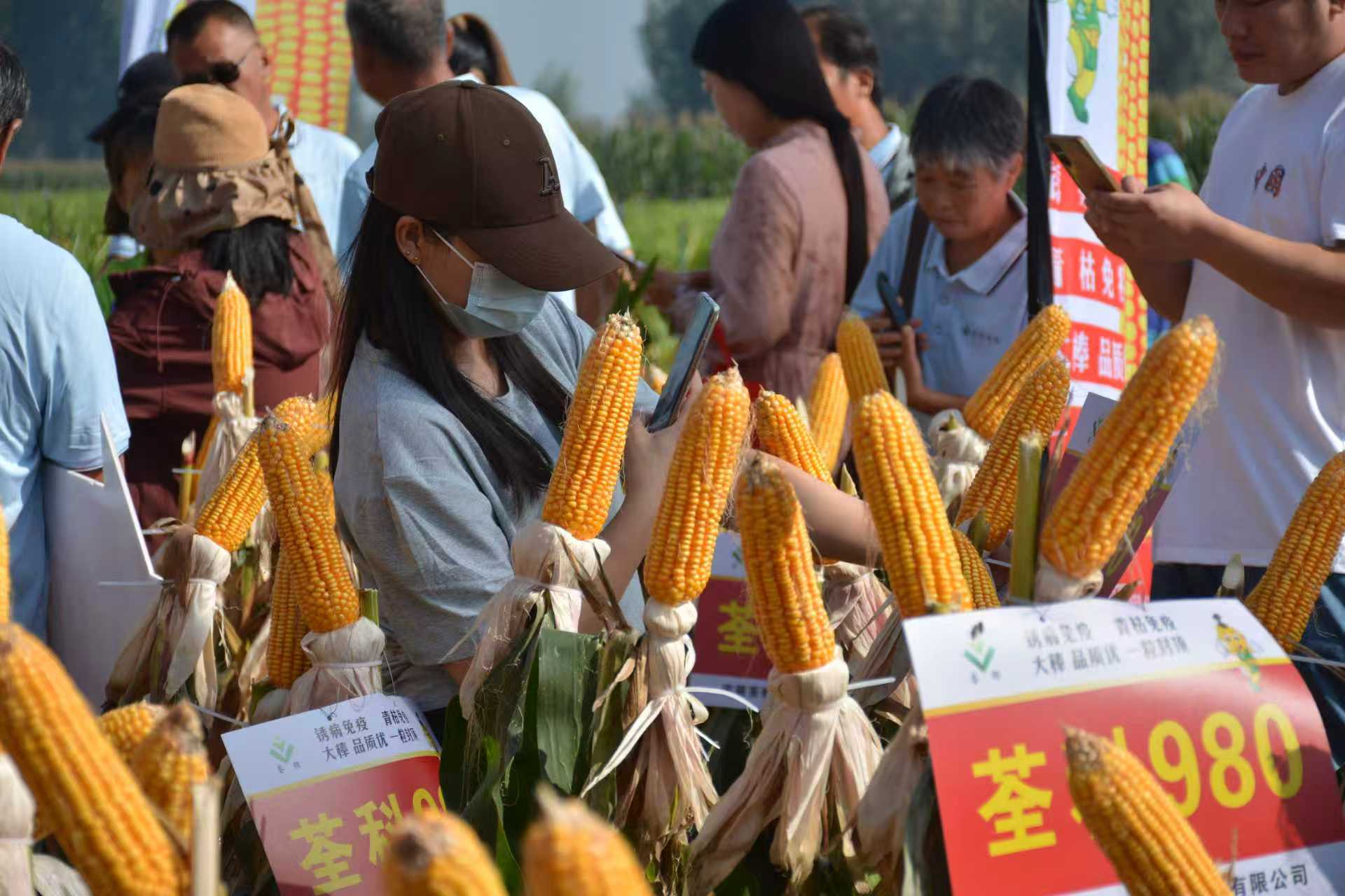 荃科980.jpg 荃科980.jpg