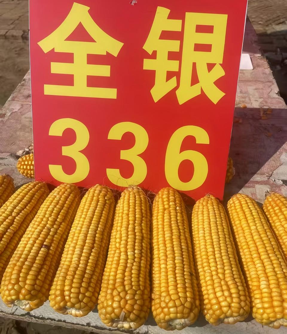 大田.jpg 大田.jpg