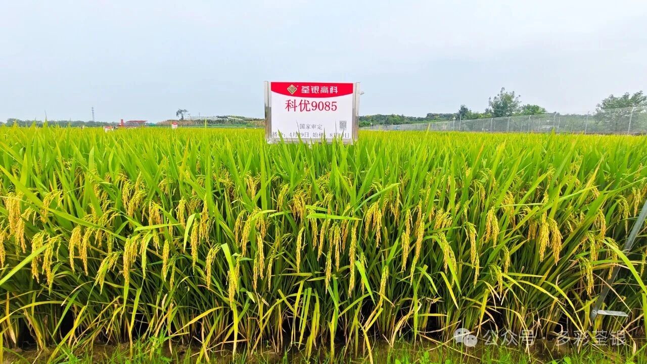 微信圖片_20251025084027.jpg 微信圖片_20251025084027.jpg